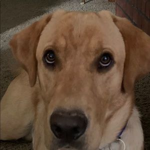 Meet your Posher, Miles